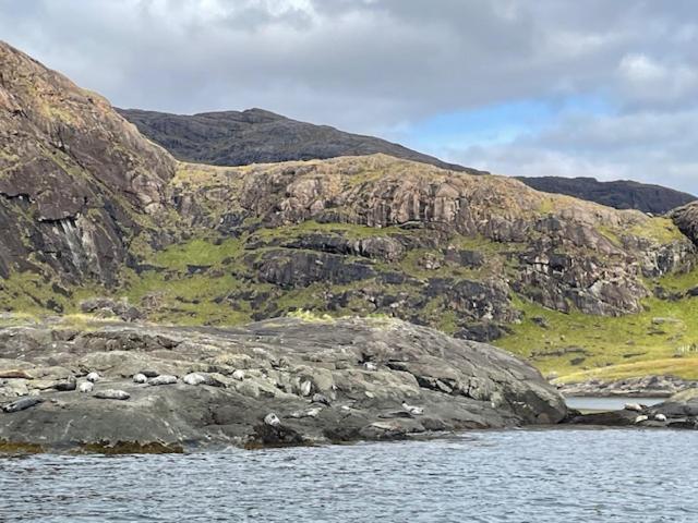 Waterfall View Milovaig Exteriör bild